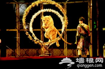 春节到周村去逛庙会![墙根网]