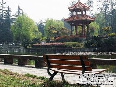 在成都安逸喝茶搓麻品小吃