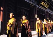 新春潭柘寺祈福