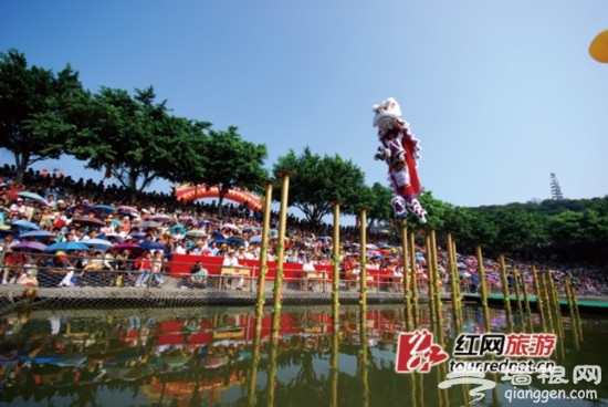 南海的醒狮文化。来到黄飞鸿的故乡,当然不能错过精彩的舞狮表演。
