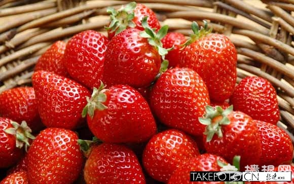顺义太阳村爱心草莓今天团购开始 让孩子过好年