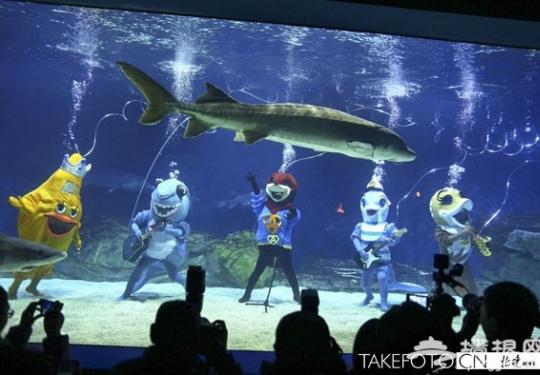 北京海洋馆上演水下音乐会 海洋偶像团体首秀
