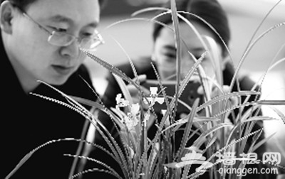 &ldquo;春剑&middot;宗师剑&rdquo;传承千年兰花文化