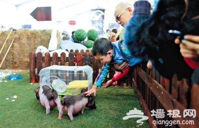 工体儿童游园会打造首个儿童专属庙会[墙根网]