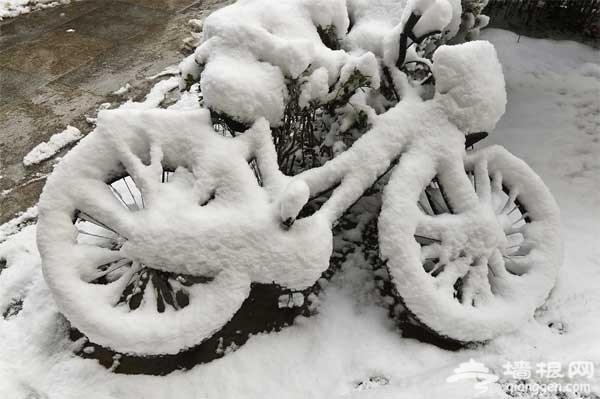 2014年北京雪 京城城区赏雪地推荐
