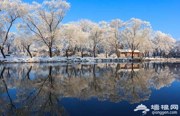 2014年北京雪 京城城区赏雪地推荐