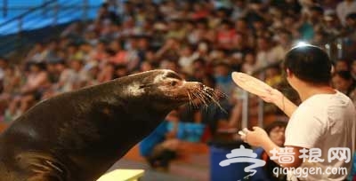 2014情人节上海海底世界门票优惠活动