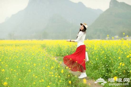 2014上林油菜花游玩攻略