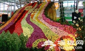 昆明春游赏花推荐