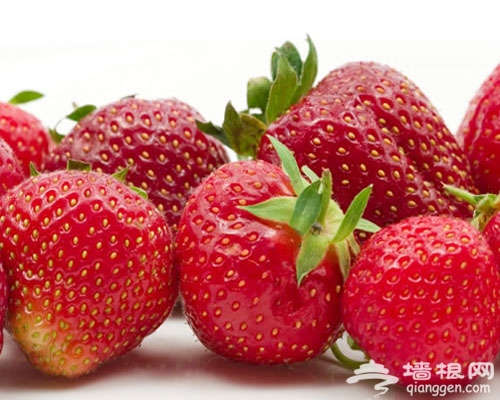 上海草莓采摘指南[墙根网]