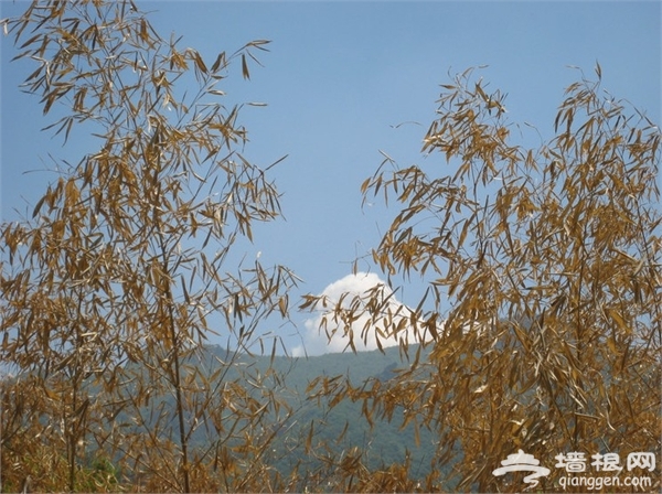 观景赏花烧烤 京郊5个踏青好去处[墙根网]