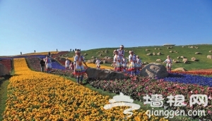 腾冲花海节 “花花世界”醉游客