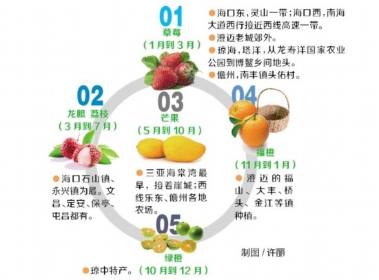 海南"采摘季"指南：3月草莓5月荔枝6月龙眼[墙根网]