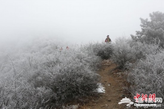 北京延庆山区出现大面积雾凇景观