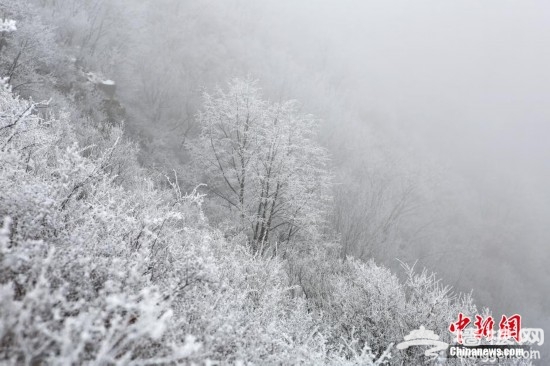 北京延庆山区出现大面积雾凇景观[墙根网]