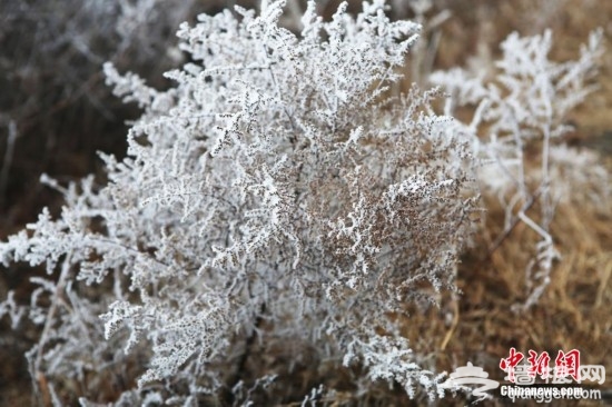 北京延庆山区出现大面积雾凇景观[墙根网]