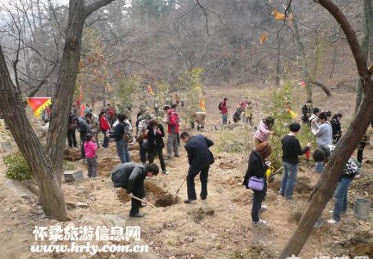 2014北京灵慧山植树节植树造林活动