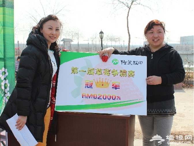 石家庄市佐美庄园第四届草莓采摘节启幕[墙根网]