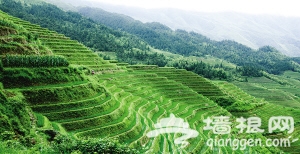 清明踏青游 预热今春旅游季[墙根网]