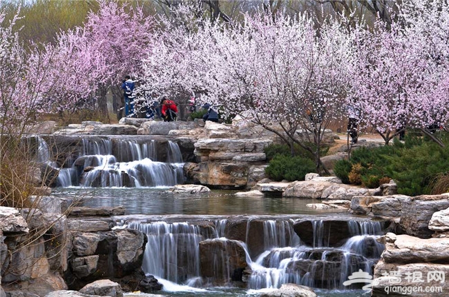 2014北京植物园桃花节攻略：花期时间、门票价格一览