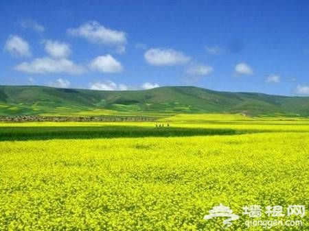 点击图片进入下一页