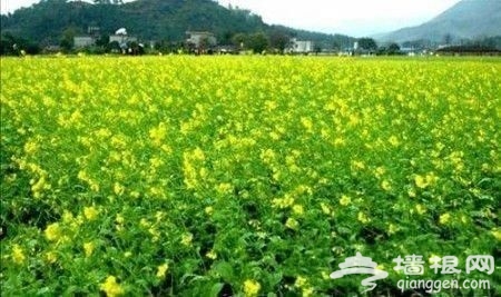 点击图片进入下一页