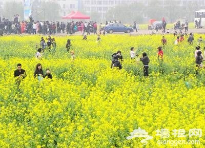 点击图片进入下一页