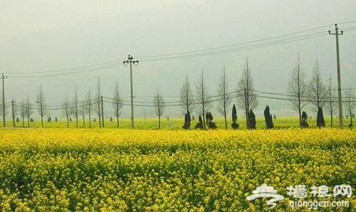 点击图片进入下一页