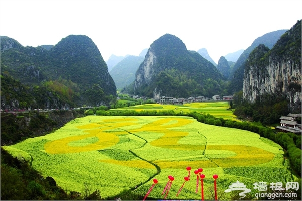 贵州牌空气罐头 春季踏青赏花之必备[墙根网]
