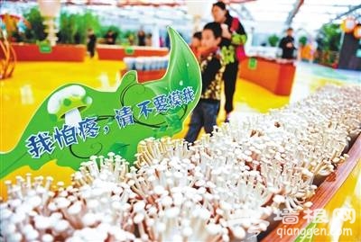 北京昌平农业嘉年华蘑幻王国主题板块及特色