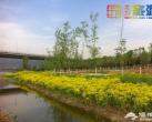 2014北京清明五一踏青赏花 门头沟区春季特色旅游活动