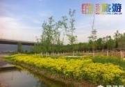 2014北京清明五一踏青赏花 门头沟区春季特色旅游活动