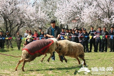 伊犁图片 伊犁图片
