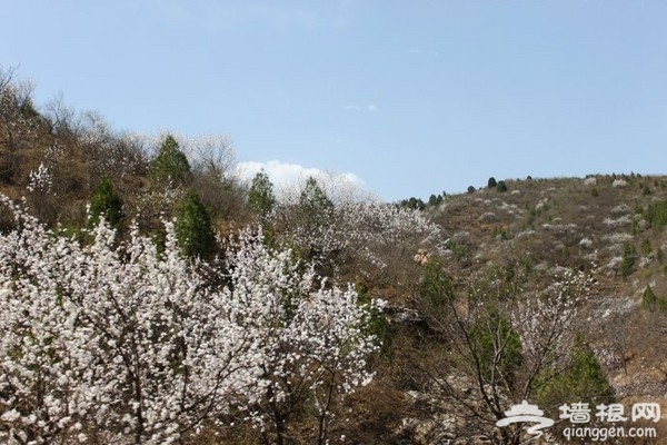 白河峡谷 京郊烧烤漂流圣地