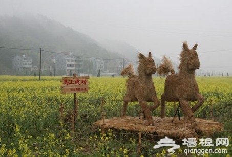 2014江南油菜花节开幕
