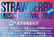 2014武汉草莓音乐节4月19日举办