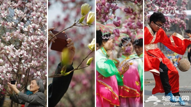 北京国际雕塑公园举办玉兰文化节