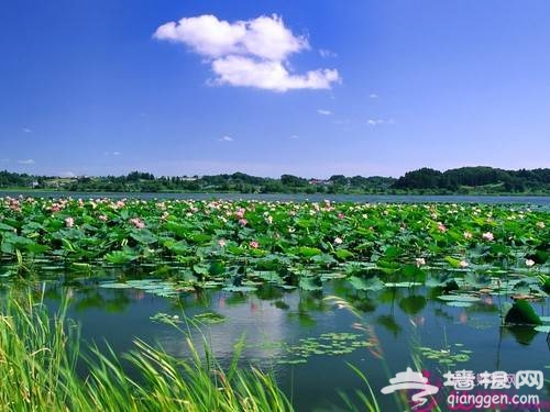 北京到保定旅游吃喝玩乐购指南(景点+交通+美食+购物) 