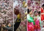 北京国际雕塑公园举办2014踏青季暨第十一届玉兰文化节