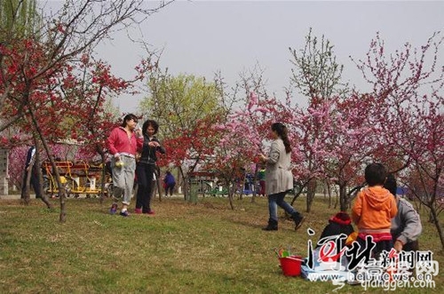 清明假期穿中国传统服饰免费游石家庄植物园