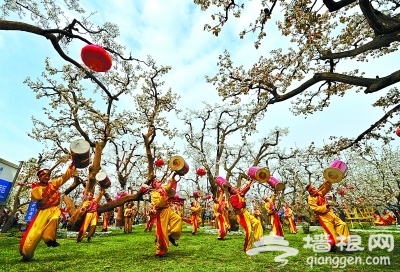 2014中国·花漾什川梨花节开幕 主打生态文化旅游品牌