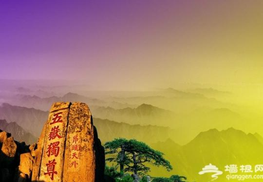 2014泰山音乐节五一举办