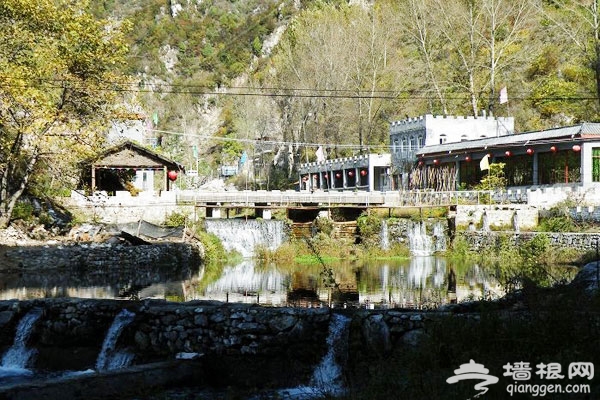京郊怀柔:板栗飘香响水湖