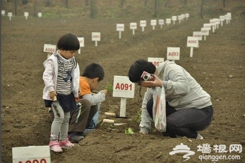2014蟹岛农耕节开幕[墙根网]