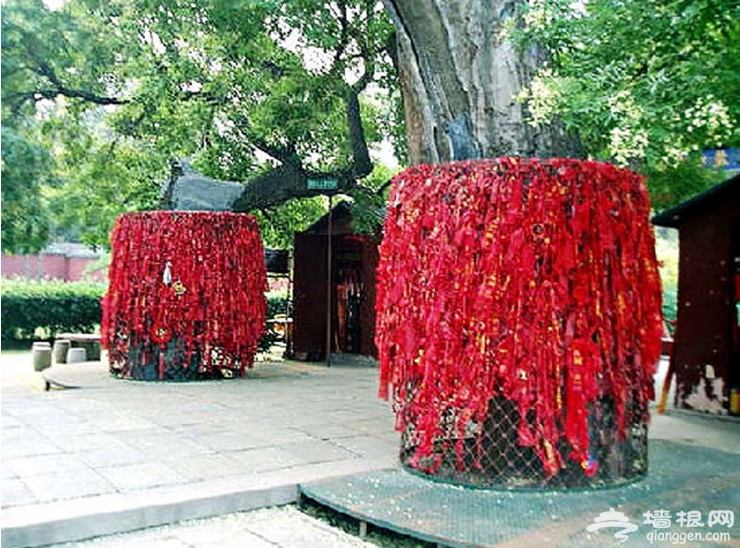 正定隆兴寺五一活动精彩纷呈[墙根网]
