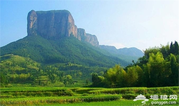 6月份去哪儿杨梅采摘 2014仙居杨梅节时间、地点、交通[墙根网]