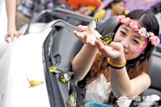 2014白云山蝴蝶文化节的时间、地点[墙根网]