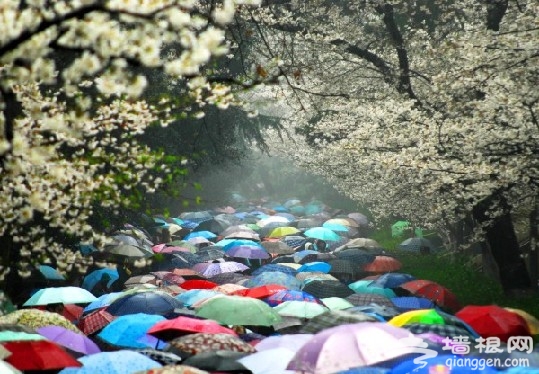 致青春”：五四青年节回味大学里的景点[墙根网]