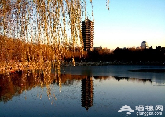 致青春”：五四青年节回味大学里的景点