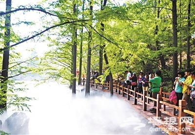 北京植物园樱桃沟重开放